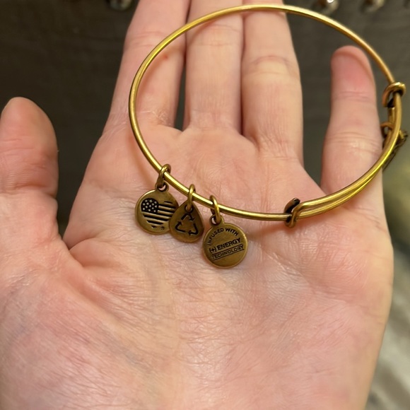 Alex and Ani NFL Pittsburgh Steelers bracelet - Picture 4 of 4